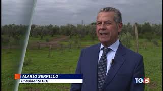 Limpoverimento del suolo il presidente Serpillo al Tg5 [upl. by Nlyak708]