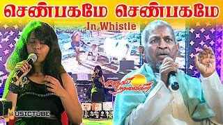 செண்பகமே செண்பகமே song in whistle  musictube saadhagaparavaigal senbagamesenbagame [upl. by Entwistle285]