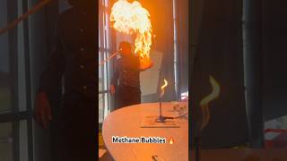 Methane bubbles 🔥 teacher school science scienceexperiment chemistry education inspiration [upl. by Metts]