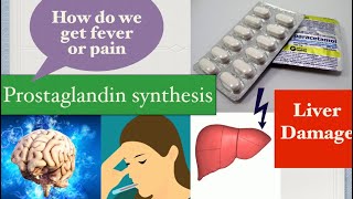 Paracetamol  Mechanism of action toxicity dosage  Acetaminophen [upl. by Winson168]