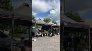 Saturday Market in Kerikeri ケリケリの マーケット2 [upl. by Rehpinnej]