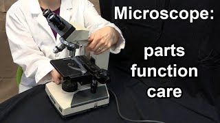 Microscope Parts Function and Care [upl. by Kcirrem]