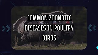 COMMON ZOONOTIC DISEASES IN POULTRY BIRDS [upl. by Solange]