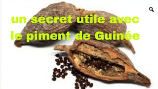 un secret utile avec le piment de Guinée [upl. by Hestia341]