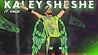 Kaley Sheshe Ft Shaheen Afridi 🥵 • Shaheen Afridi Velocity Edit 🔥 • Freak Editz [upl. by Dunseath]