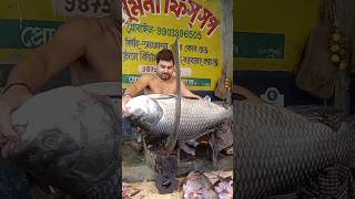 Katla fish cutting Katla fish cutting skillsKatla fish cutting KolkataCalifornia fish grill [upl. by Maclaine]