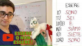 14 Learn Italian Beginners A1 How to use the verb “essere” “to be” [upl. by Ellehsem565]