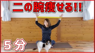 【5分】二の腕がみるみる引き締まるチューブを使って座ったまま筋トレ★The upper arm tightens up  【ダイエット】 [upl. by Adnima]