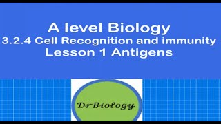 Lesson 1 Antigens Alevel Biology [upl. by Adan479]