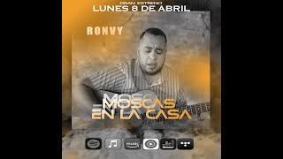 SHAKIRA  MOSCAS EN LA CASA Cover por ronvy [upl. by Harlin277]