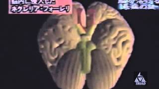 TRIAD RESEARCH LABORATORIES  Dream Paralysis 2014 MUSIC VIDEO [upl. by Hesoj]