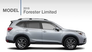 2019 Subaru Forester Limited  Model Review [upl. by Letnohc449]