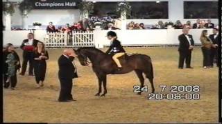 Henrietta WindsorPhillips riding pony DyckebeckWildFoxglove BSPS 2008 Blue Ribband [upl. by Frazer]