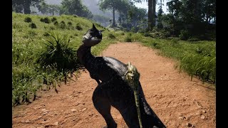 The Isle Playful Troodon vs grumpy Carno [upl. by Evatsug]