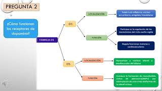 RECEPTORES DOPAMINERGICOS [upl. by Ready]