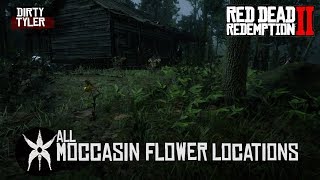 RDR2 All Moccasin Flower Orchid Locations For Exotic Quest [upl. by Hescock541]