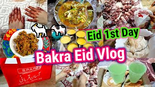 Bakra Eid Vlog 2023 🐐🐄  First Time Qurbani Live Dekhi  Eid 1st Day 😍  Eid Celebration With Family [upl. by Arnoldo]