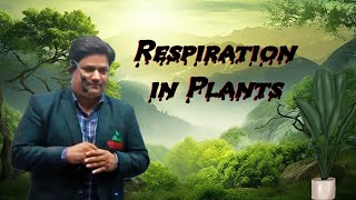 Respiration In Plants L6 By Nadeem Sir [upl. by Avihs860]