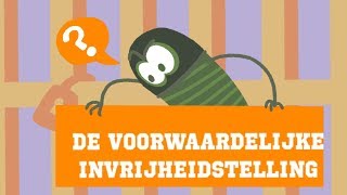 Maatschappij  de Voorwaardelijke Invrijheidstelling [upl. by Aloisius]