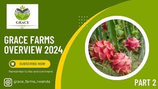 Grace Farms Overview Part 2  Rwanda Agriculture  Dragon Fruit Farming [upl. by Nael520]