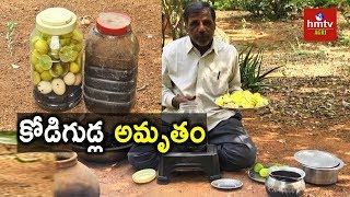 Kodigudla Amrutham Egg Amino Acid Preparation  Natural Farming  hmtv Agri [upl. by Yrtnej]