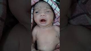 Vernix baby just after birth cute movementscute baby shorts shortvideo viralshorts [upl. by Aninay]