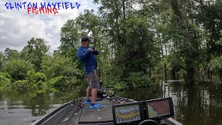 SAM RAYBURN BASS FISHING [upl. by Florenza115]