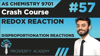 Disproportionation Reactions  Redox Reactions  9701 AS Chemistry UrduHindi [upl. by Ahseral]