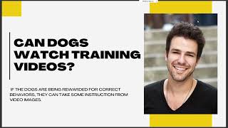 CAN DOGS WATCH TRAINING VIDEOS [upl. by Amlas916]