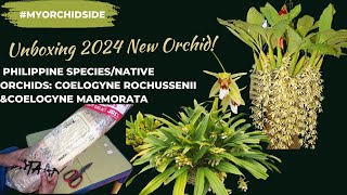 UNBOXING 2024 NEW ORCHIDS  PHILIPPINE SPECIESNATIVE ORCHIDS [upl. by Anelah74]