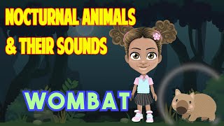 🎬 Nocturnal Animals for Kids and their Sounds  Educational Videos Series 1 of 3 [upl. by Niar]