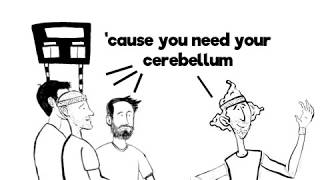 Without Your Cerebellum [upl. by Aikemaj891]