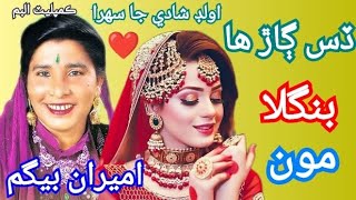 Desi Gahara Bangla By Ameera Begum Sindhi Old Songs Mixed Music [upl. by Orlantha412]