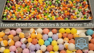 Harvest Right  Freeze Dried SKITTLES  How to Freeze Dry Candy  Wandering Wassoms  S2E9 [upl. by Kort]