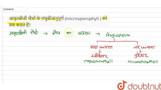 आवृतबीजी पौधों के लघुबीजानुपूर्ण microsporophyll  को क्या कहते हैं [upl. by Laet]