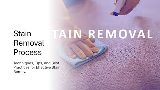 Stain Removal Process [upl. by Nylyak]