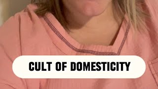 Cult of Domesticity  APUSH in 1 MIN Daily [upl. by Bluefield444]