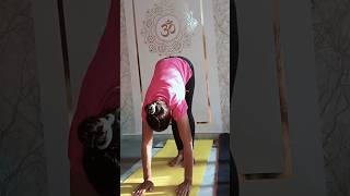 Shirshasana for beginners yogawithpahalluxmi yoga youtubeshorts improveflexibility viralshorts [upl. by Milinda]