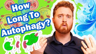 Autophagy Fasting How Long Do You Need To Fast To Reach Autophagy [upl. by Neliak]