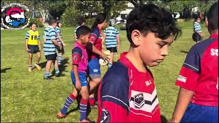 Otara Scorpions WARRIORS VS Otahuhu Leopards WHITE LEOPARDS u10 2024 [upl. by Meekahs241]