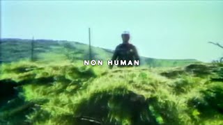 UICIDEBOY  NON HUMAN FEAT NIGHT LOVELL LYRIC VIDEO [upl. by Lauter]