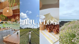 Jeju Island travel vlog🍊 Cafe hopping Korean BBQ Innisfree luxury hotels tourist attractions [upl. by Petulah]