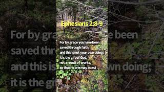 Ephesians 289 christ nature jesus wildlife bible jesuschrist [upl. by Redienhcs915]