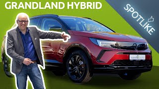 DER OPEL GRANDLAND HYBRID 2022  Der schicke amp effiziente SUV 😍🔋  Bleker Gruppe SPOTLIKE [upl. by Allissa]