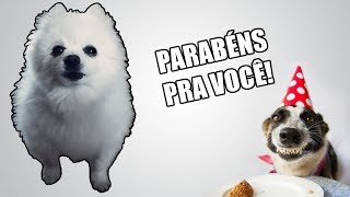 PARABÃ‰NS PRA VOCÃŠ em CACHORRÃŠS [upl. by Hurff]