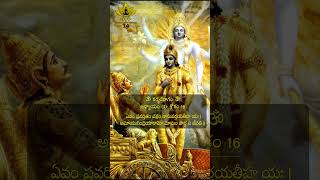 Bhagavad Geetha Shloka  14 Bhagavad Gita [upl. by Nrol]