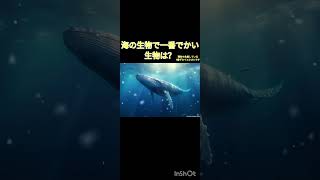 現在も生息している海のでかい生物と小さい生物、説明とかなくてすみません [upl. by Ntsuj]