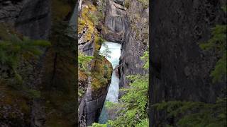 Mistaya Canyon Trail Saskatchewan River Crossing trail canyon alberta [upl. by Rask]