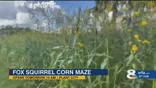 12th Annual Fox Squirrel Corn Maze opens this weekend [upl. by Itsyrc90]