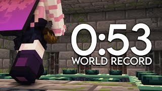 Minecraft Beaten In 53 Seconds WR [upl. by Jaunita]